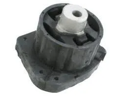 BMW ŞANZIMAN KULAĞI E53