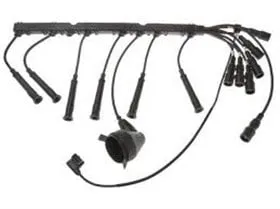 BMW BUJİ KABLOSU M20