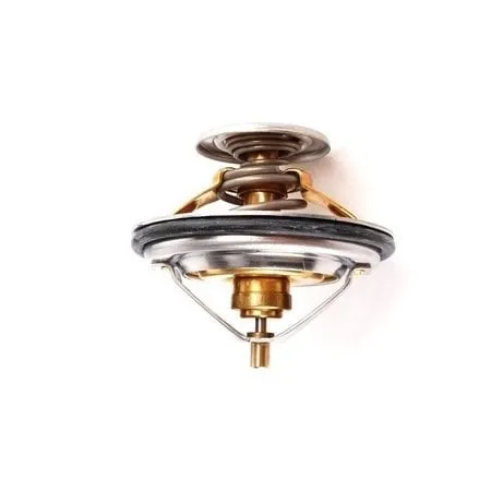 BMW TERMOSTAT M50-20 80 LİK