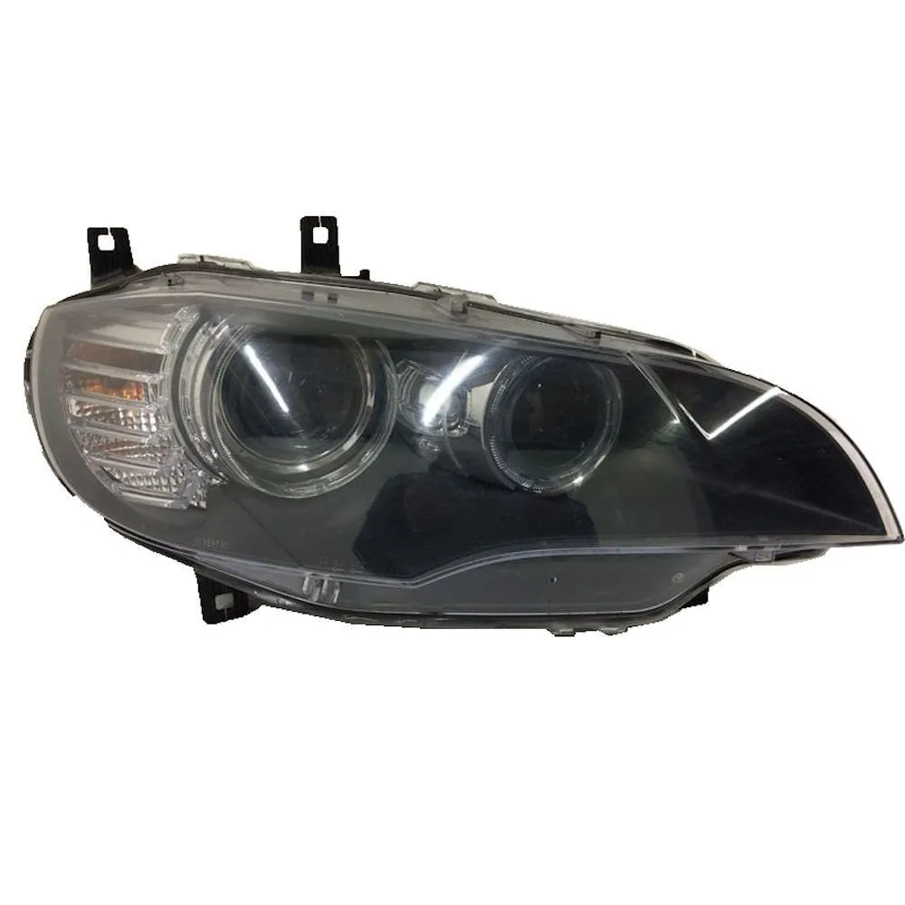 BMW FAR CAMI E71 X6 SAĞ