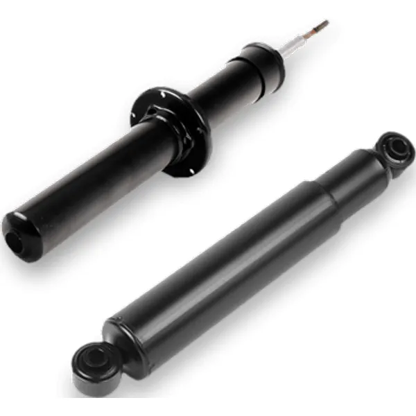 Amortisör E-60 Arka Xi (33526770453)